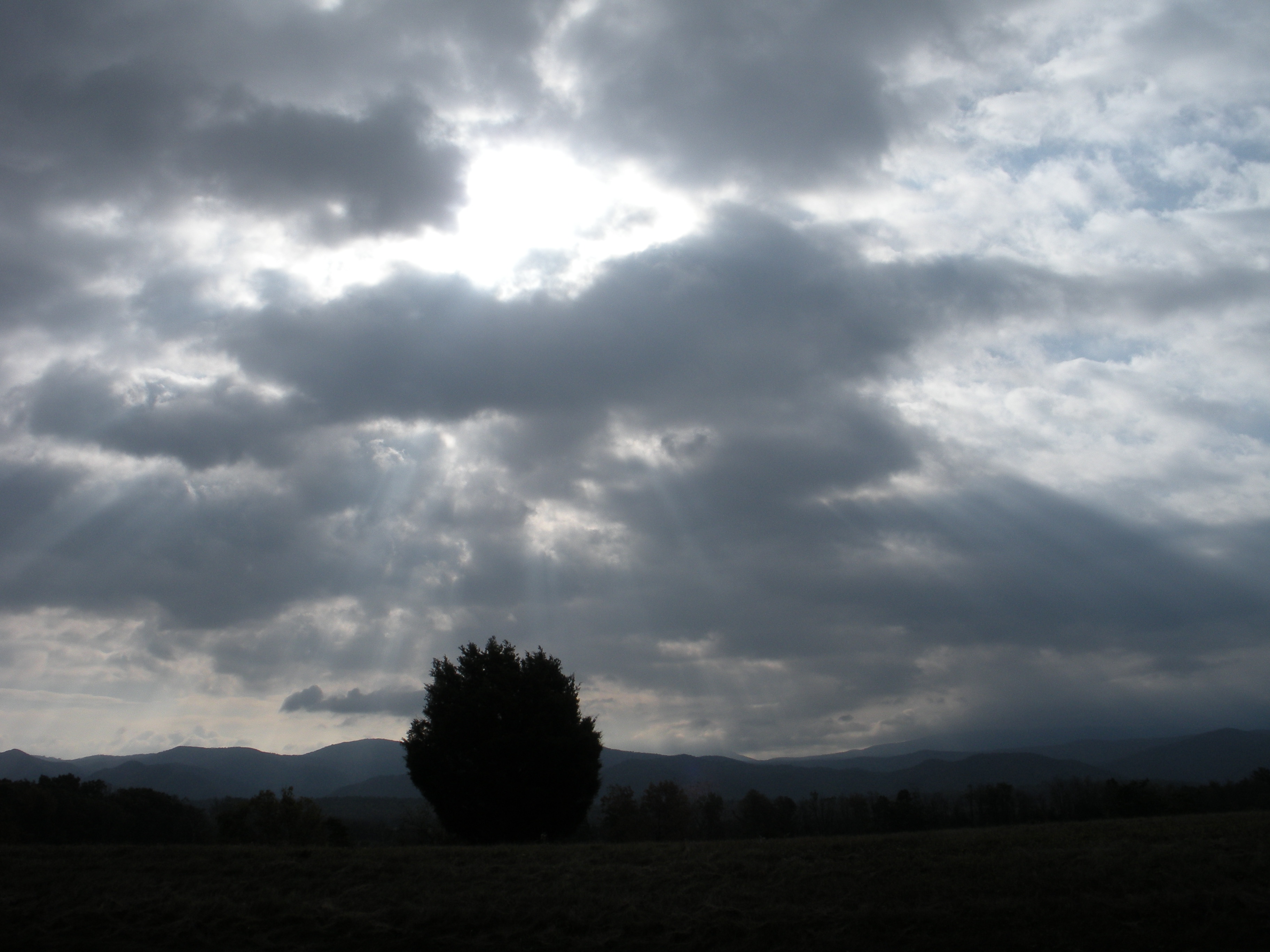 Photo A Breath On The Wind